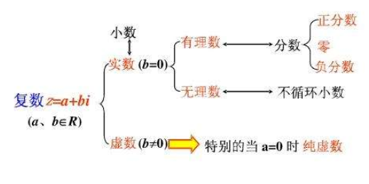 实数集包括什么数，比如