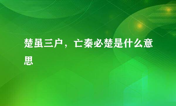 楚虽三户，亡秦必楚是什么意思