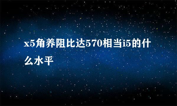 x5角养阻比达570相当i5的什么水平