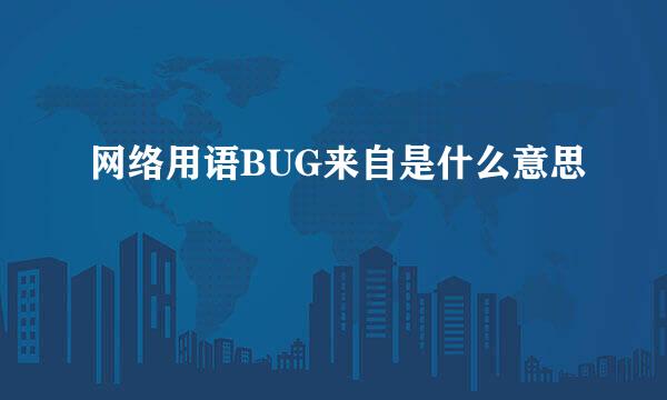 网络用语BUG来自是什么意思