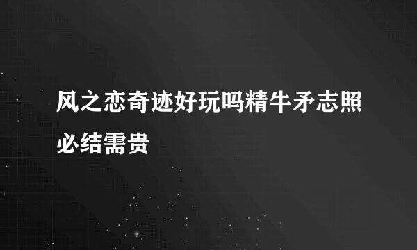 风之恋奇迹好玩吗精牛矛志照必结需贵