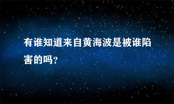 有谁知道来自黄海波是被谁陷害的吗？