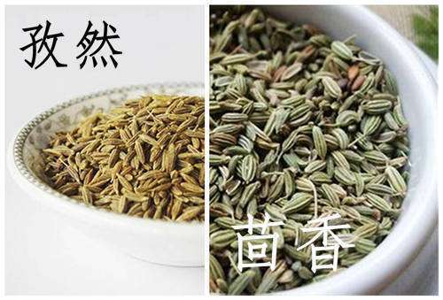 小茴香和孜然怎么区别？