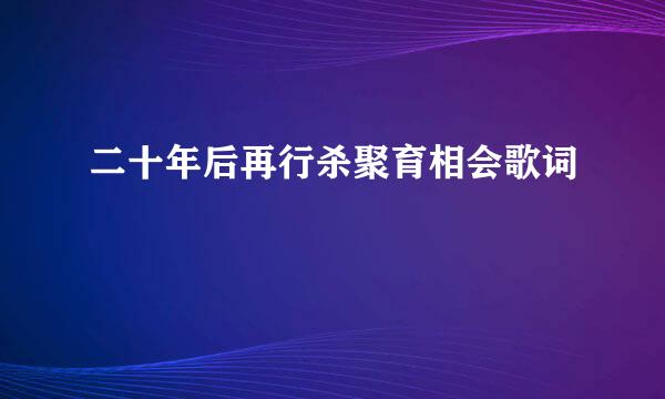 二十年后再行杀聚育相会歌词