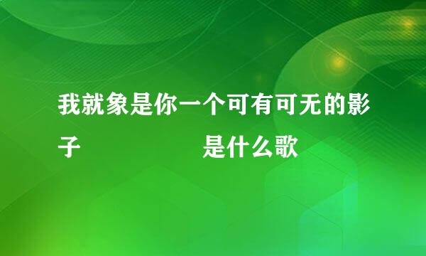 我就象是你一个可有可无的影子     是什么歌