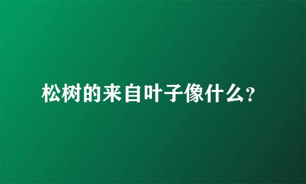 松树的来自叶子像什么？