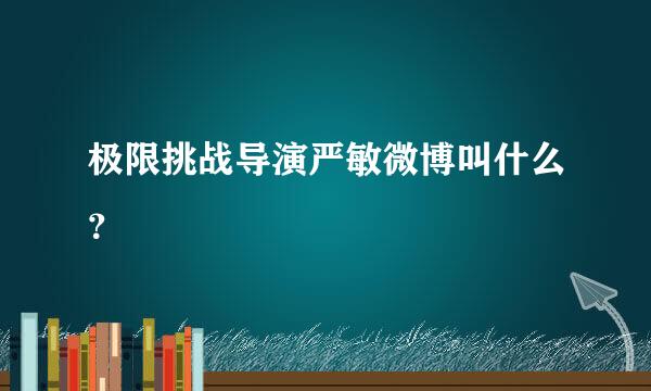 极限挑战导演严敏微博叫什么？