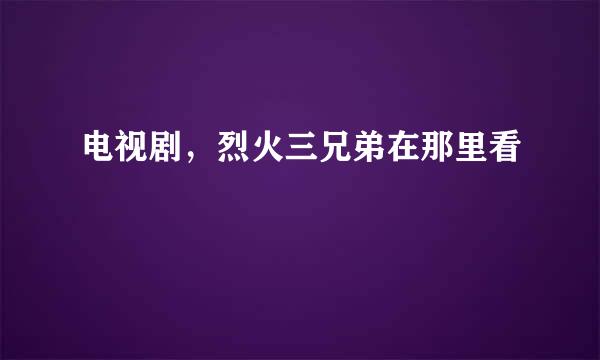 电视剧，烈火三兄弟在那里看