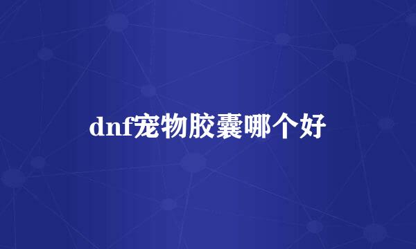 dnf宠物胶囊哪个好