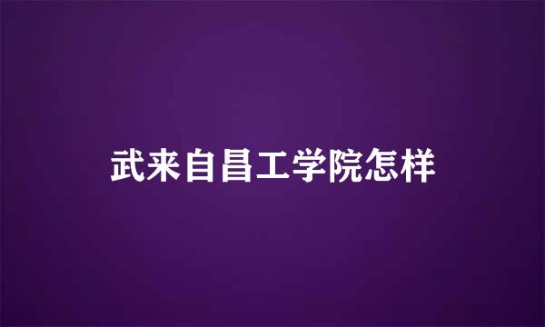 武来自昌工学院怎样