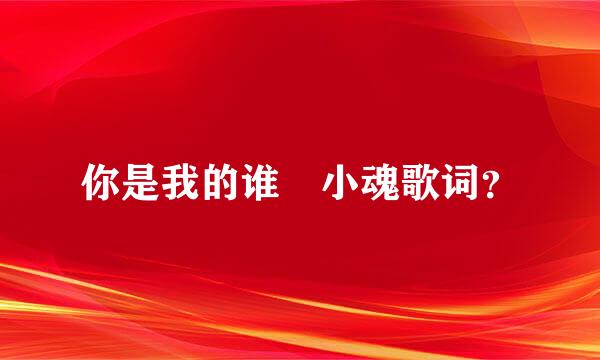 你是我的谁 小魂歌词？