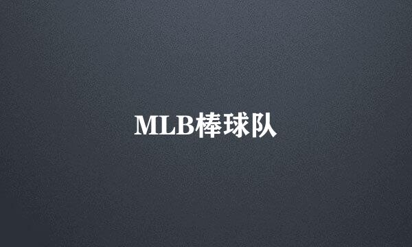 MLB棒球队