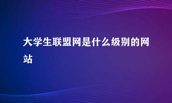 大学生联盟网是什么级别的网站