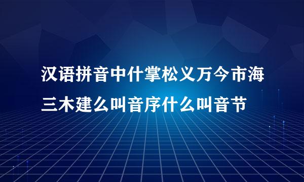 汉语拼音中什掌松义万今市海三木建么叫音序什么叫音节