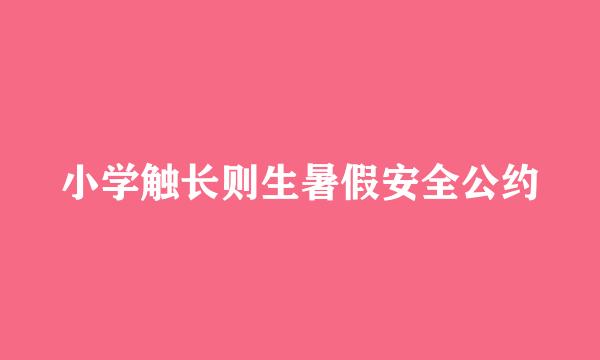 小学触长则生暑假安全公约