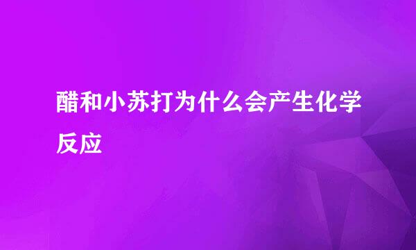 醋和小苏打为什么会产生化学反应