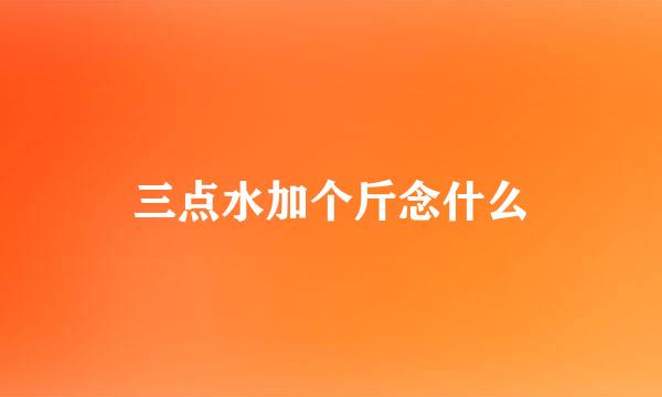 三点水加个斤念什么