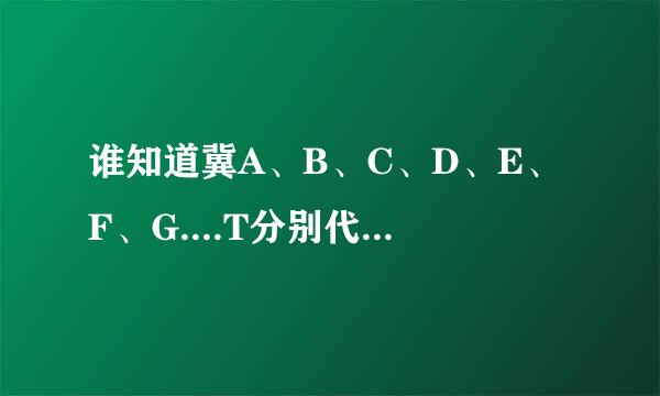 谁知道冀A、B、C、D、E、F、G....T分别代表哪个市？