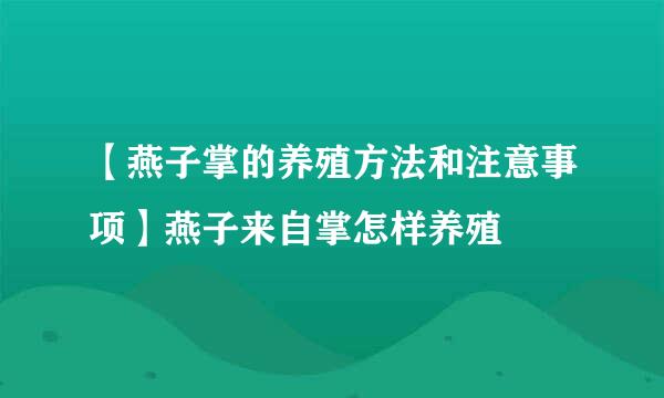 【燕子掌的养殖方法和注意事项】燕子来自掌怎样养殖