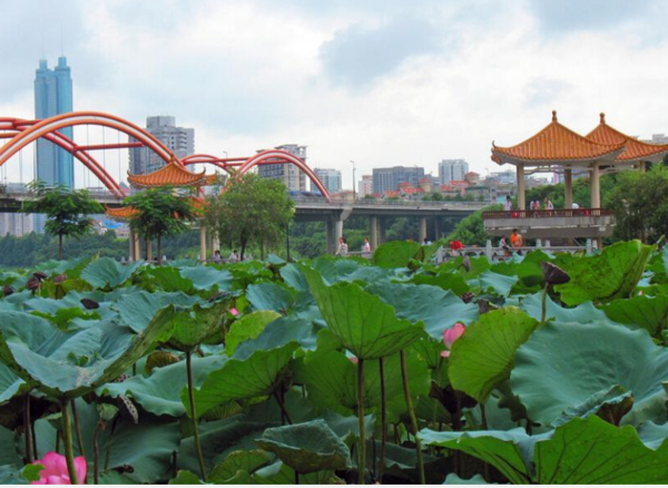 中国十大淡水湖排名