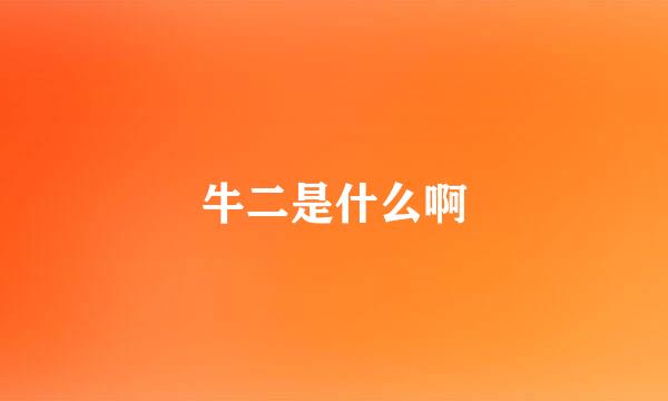 牛二是什么啊