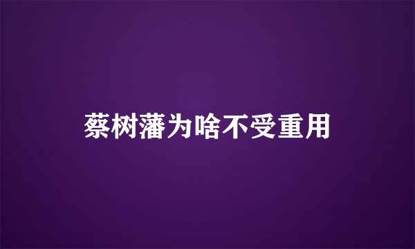 蔡树藩为啥不受重用