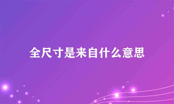 全尺寸是来自什么意思