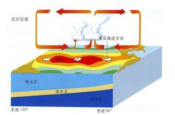 厄尔尼诺现象粮问富概农业感工调对中国的影响是什么？