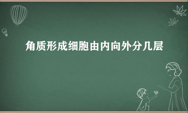 角质形成细胞由内向外分几层