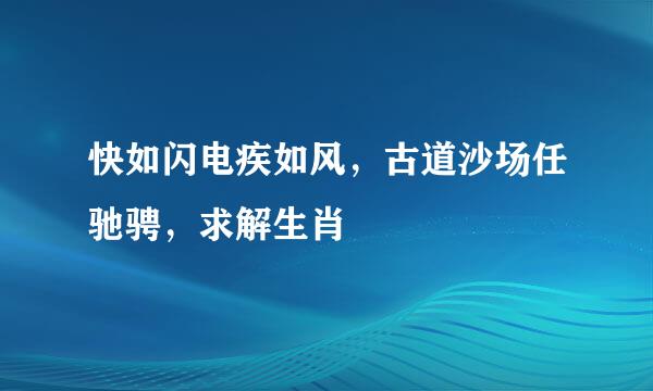 快如闪电疾如风，古道沙场任驰骋，求解生肖