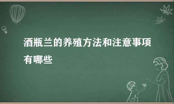 酒瓶兰的养殖方法和注意事项有哪些