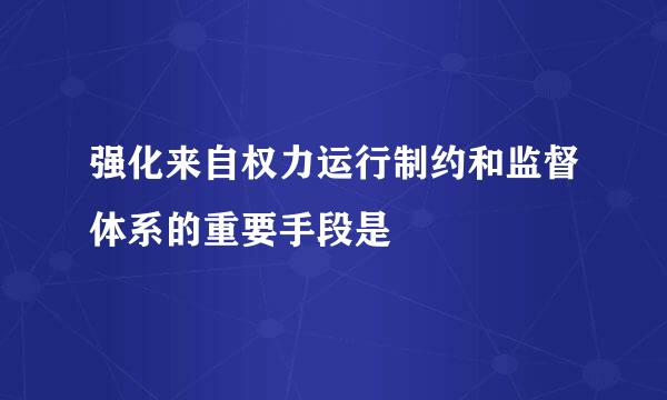 强化来自权力运行制约和监督体系的重要手段是