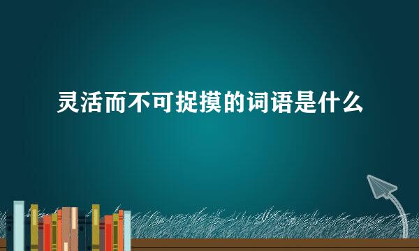 灵活而不可捉摸的词语是什么