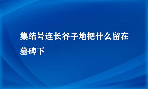 集结号连长谷子地把什么留在墓碑下