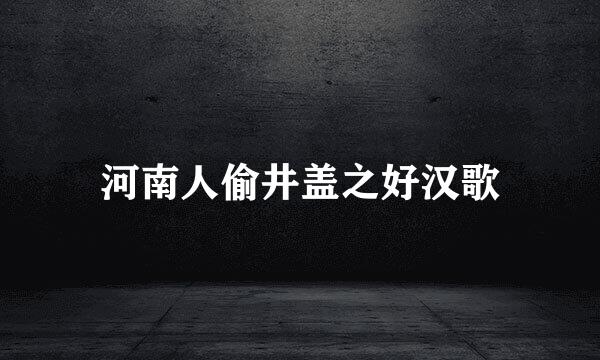 河南人偷井盖之好汉歌