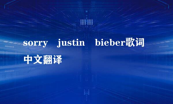 sorry justin bieber歌词中文翻译