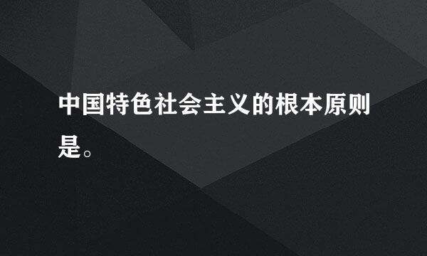 中国特色社会主义的根本原则是。