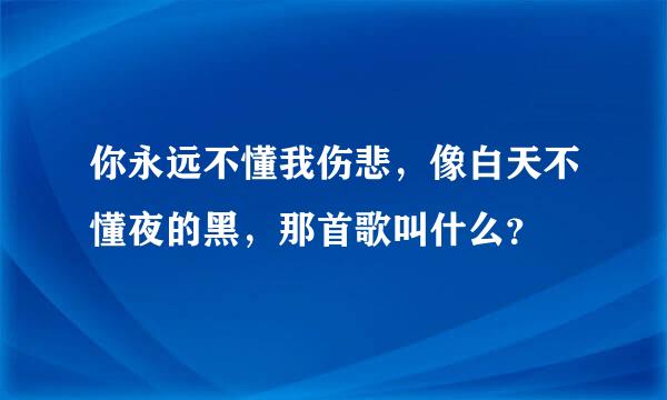 你永远不懂我伤悲，像白天不懂夜的黑，那首歌叫什么？