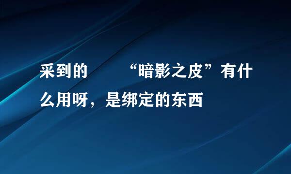 采到的  “暗影之皮”有什么用呀，是绑定的东西