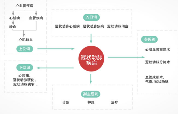 mesh医学主题词表主要由哪些部分构成