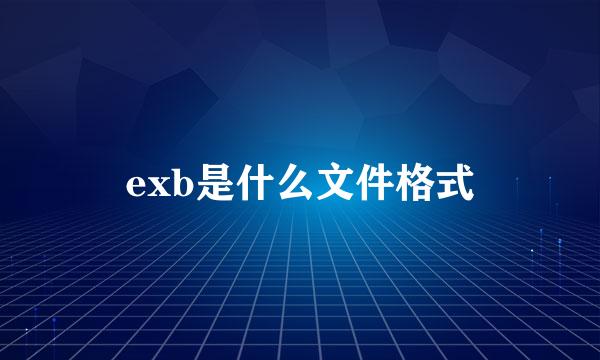 exb是什么文件格式