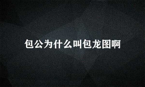 包公为什么叫包龙图啊