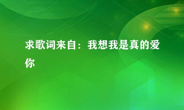 求歌词来自：我想我是真的爱你