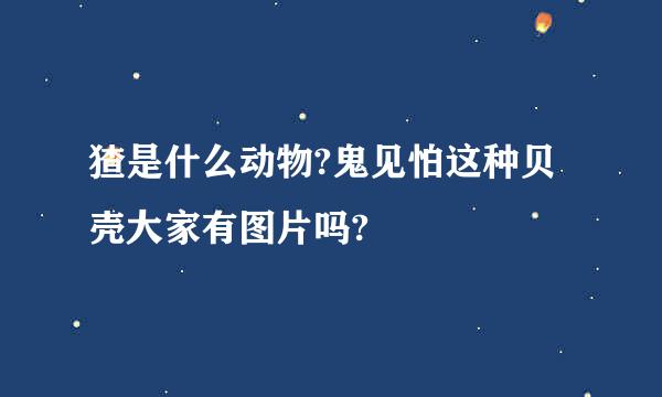 猹是什么动物?鬼见怕这种贝壳大家有图片吗?