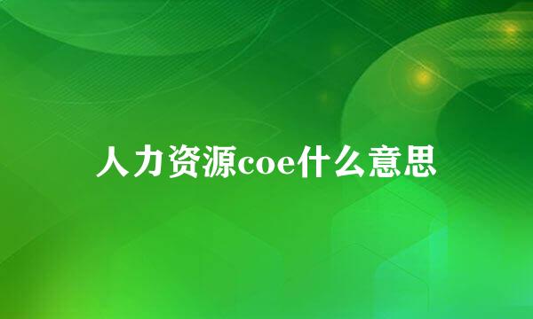 人力资源coe什么意思