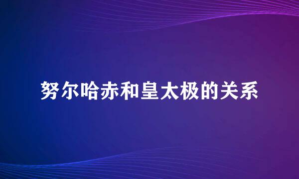 努尔哈赤和皇太极的关系