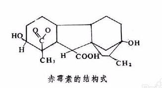 赤霉来自素920的使用方法