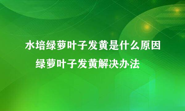 水培绿萝叶子发黄是什么原因 绿萝叶子发黄解决办法