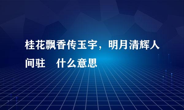 桂花飘香传玉宇，明月清辉人间驻 什么意思