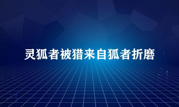 灵狐者被猎来自狐者折磨